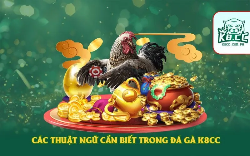 Các thuật ngữ cần biết trong đá gà K8CC